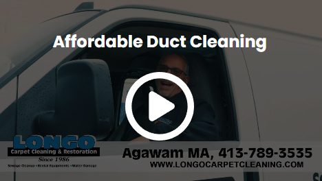 longo-carpert-cleaning